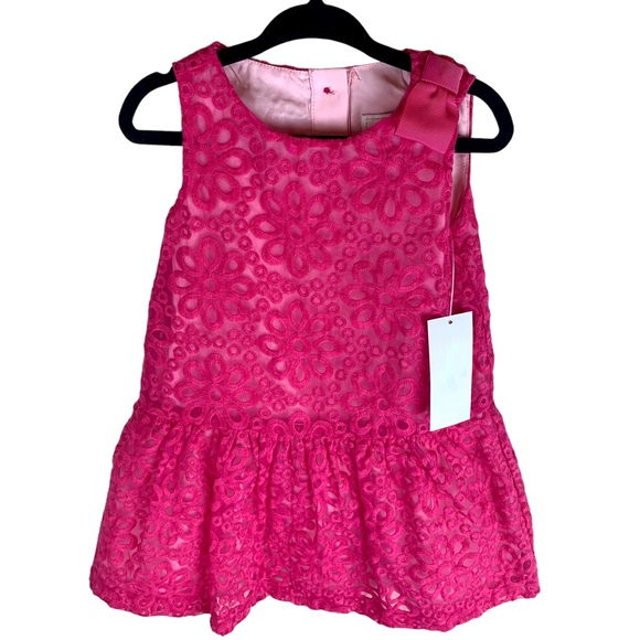Gymboree Girls Special Occassion Lace Drop Waist Dress Fuchsia Pink NEW - Picture 4 of 13